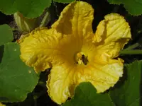 CIMG6782.webp