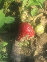 garten 09 009.webp