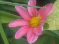 garten 09 016.webp