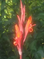 garten 09 017.webp
