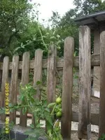 JD500099.webp