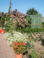 Garten 08.09 005.webp
