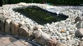 Fertigteich bekiest und Pflanzen geparkt_klein.webp