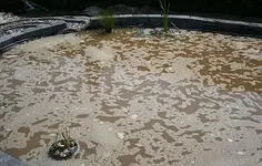 Teich mit Substrat versorgt_klein.webp
