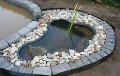kleiner Teich mit Rohrkolben und Iris_klein.webp