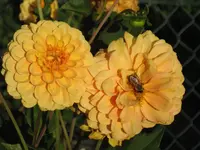 garten 09 010.webp