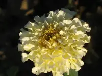 garten 09 022.webp