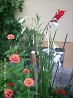 JD500095.webp