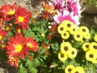 JD500138.webp