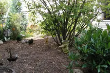 DSC00203.webp