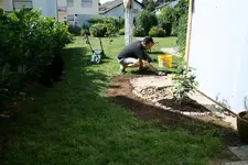 Kirschloorbeerhecke.webp
