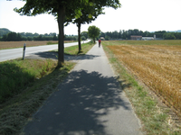 IMG_2417.webp