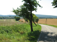 IMG_2421.webp