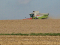 IMG_2424.webp