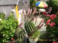 JD500124.webp