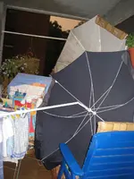 garten 09 011.webp