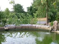 2008_0805Teich0003 [800x600].webp
