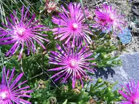 S4300012.webp