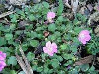 S4300024-1.webp