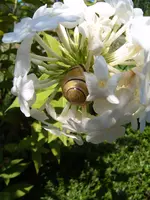 S4300033-1.webp