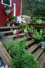 IMG_6390.webp