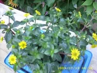 JD500002.webp