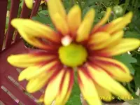 JD500004.webp
