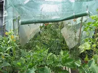 garten 09 001.webp