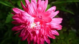 K800_P1020813.webp