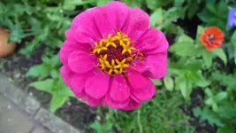 K800_P1020816.webp