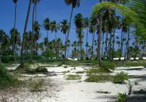 CIMG1458.webp