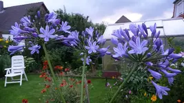 K800_P1020818.webp