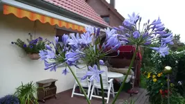K800_P1020821.webp