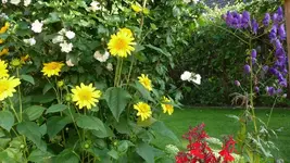 K800_P1020833.webp