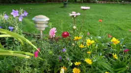 K800_P1020828.webp