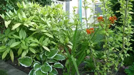 K800_P1020843.webp