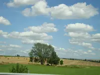 DSC00383.webp