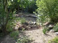 04.06.2009 057.webp