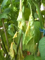 BILD0861k.webp