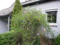05.04.09 44.webp