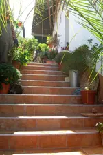 CIMG5866.webp
