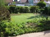 mini-IMG_0001.webp