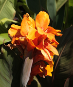 IMG_0727.webp