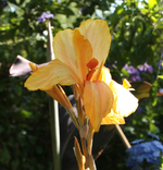 IMG_0728.webp