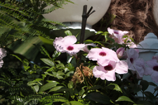 IMG_0740.webp