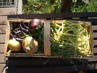 Garten 08.09 010.webp