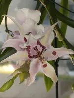 Garten 08.09 021.webp