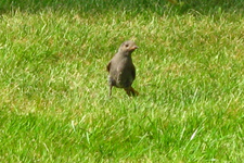 IMG_2447.webp