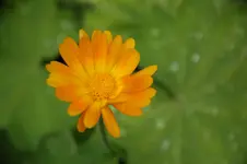 DSC_2538.webp
