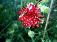 S4300012-1.webp